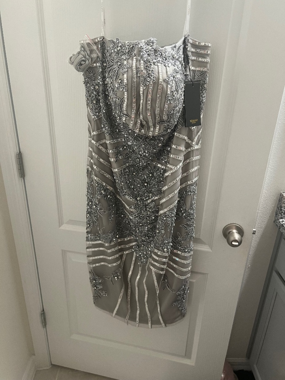 Terani couture silver diamond dress